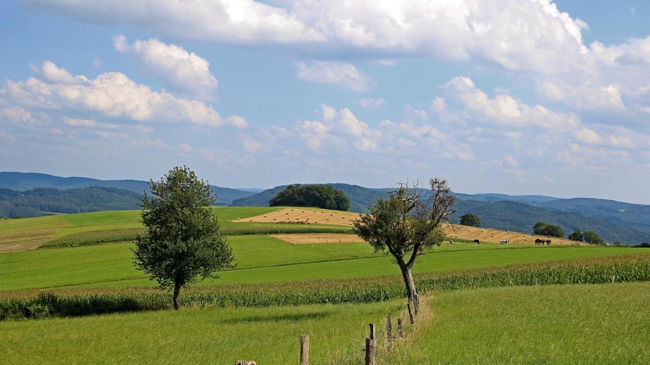 Ferienhof Knoll Lindenfels Exteriör bild